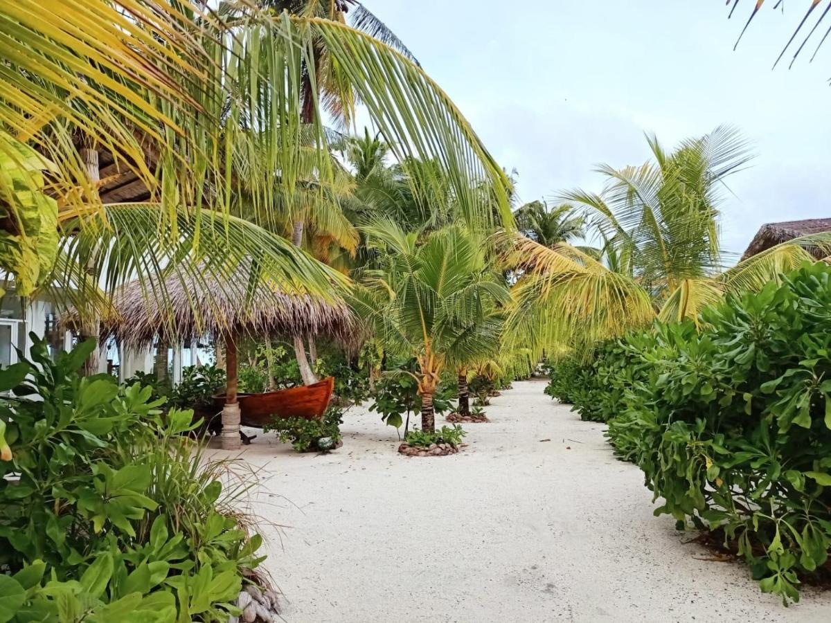 Island Life Maldives Retreat & Spa Magoodhoo エクステリア 写真